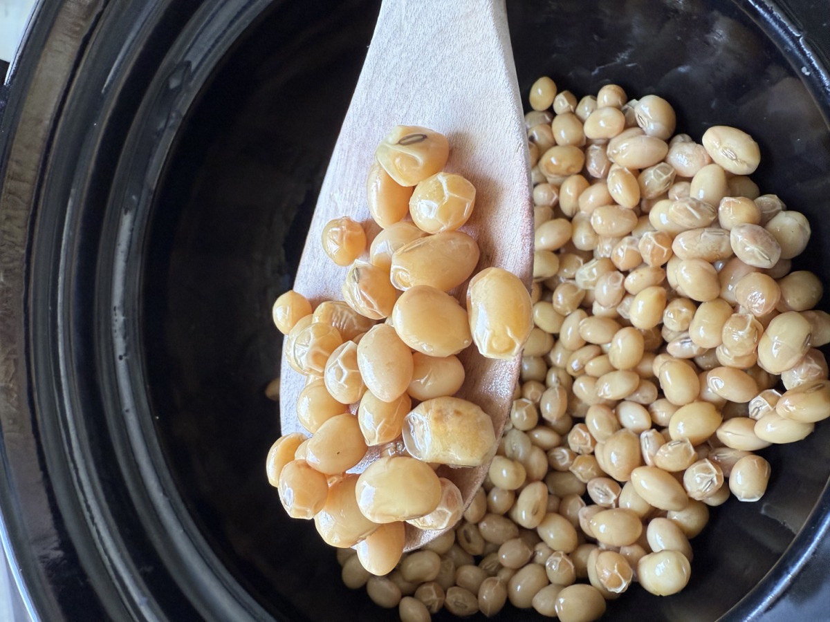 大豆 1kg 山梨県大月市産 銘柄：借金なし大豆  完全無農薬・無肥料・除草剤 不使用　自然栽培 送料込