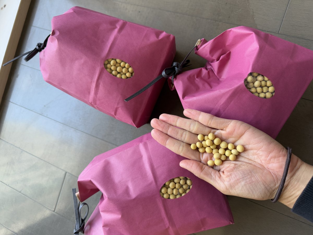 大豆 1kg 山梨県大月市産 銘柄：借金なし大豆  完全無農薬・無肥料・除草剤 不使用　自然栽培 送料込