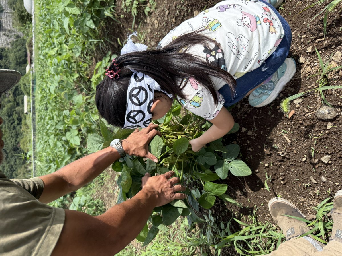 大豆 1kg 山梨県大月市産 銘柄：借金なし大豆  完全無農薬・無肥料・除草剤 不使用　自然栽培 送料込