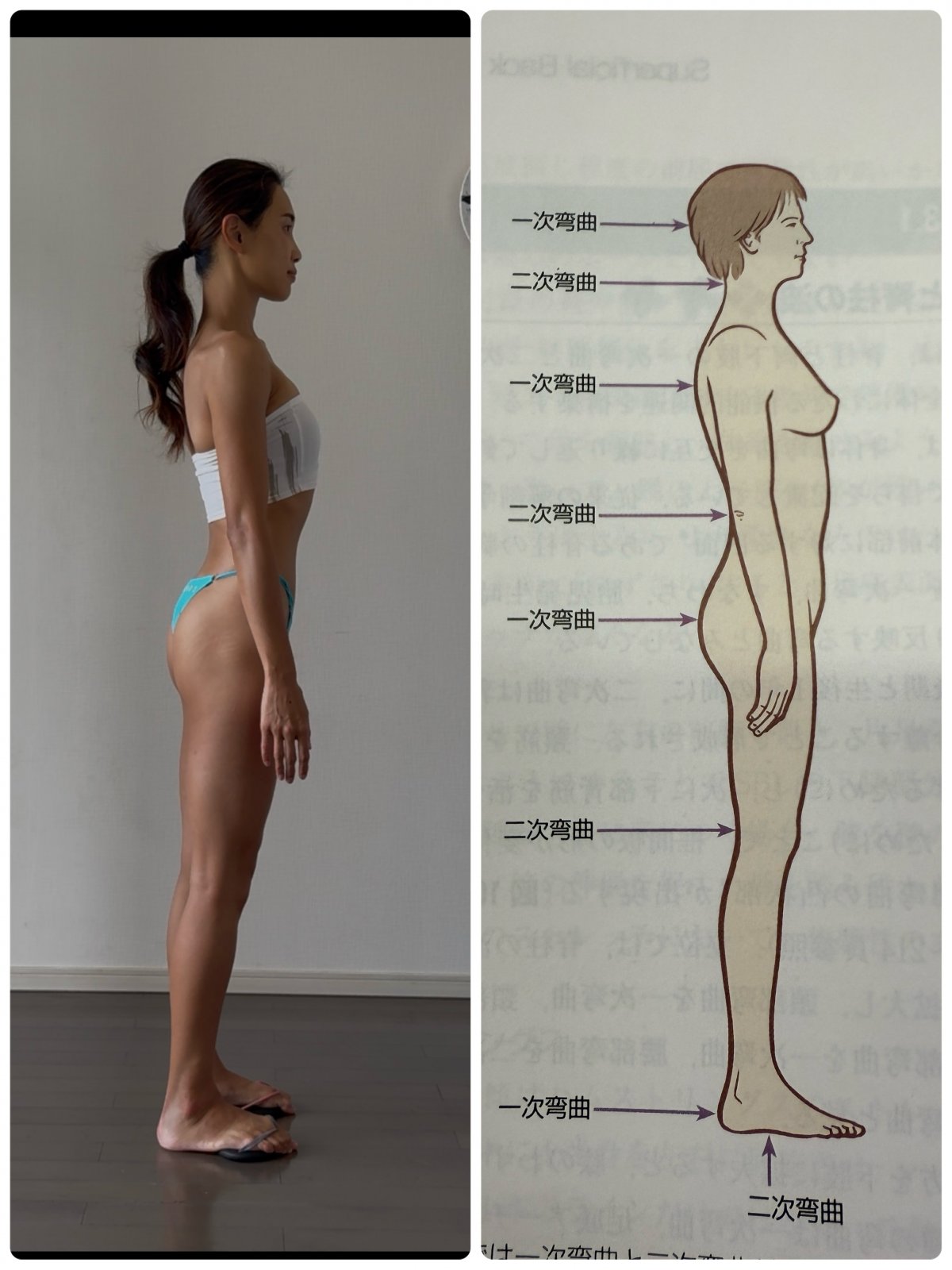 ★単発払い オンラインくびれレッスン 毎週水曜日 20:00-21:00【藤野真奈美・デトックスおかん】