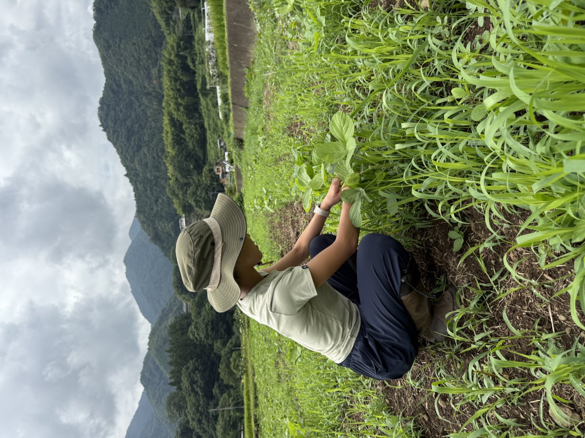大豆 1kg 山梨県大月市産 銘柄：借金なし大豆  完全無農薬・無肥料・除草剤 不使用　自然栽培 送料込